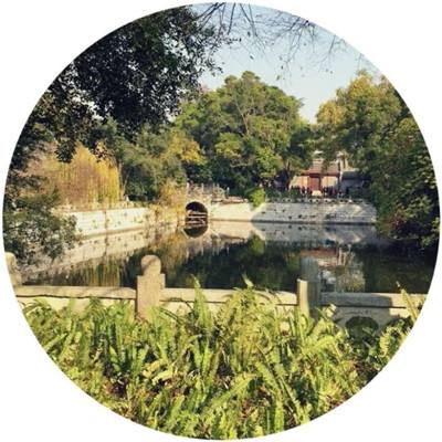 暗黑城主单机版下载